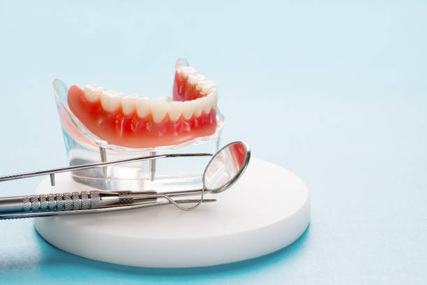 Best Dental Fillings (Composite and Amalgam)  in Willamina, OR
